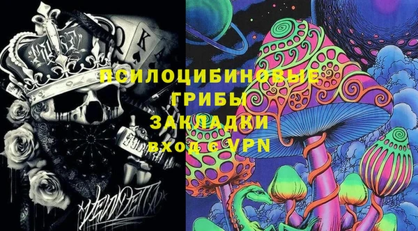 соль курить ск Ладушкин
